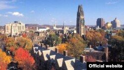 Universitatea Yale