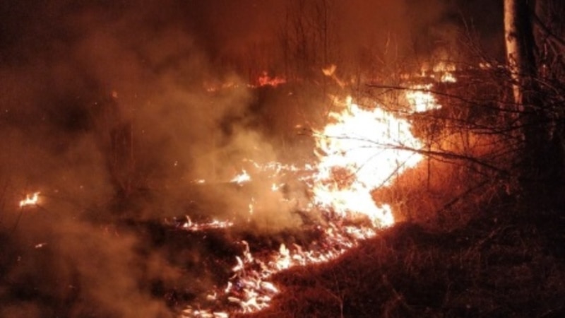 В Крыму объявили о чрезвычайной пожарной опасности до 7 августа 