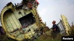 На месте падения самолета компании Malaysia Airlines на востоке Украины