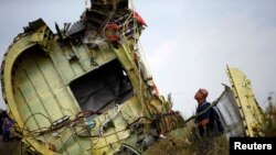 Малайзийский эксперт на месте крушения самолета компании Malaysia Airlines. Донецкая область, июль 2014 года. Иллюстративное фото.