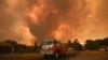 در نتیجه آتش‌سوزی‌های این فصل تاکنون بیش از هزار خانه نابود شده و سه میلیون هکتار از مراتع و بوته‌زارهای استرالیا که تقریبا معادل وسعت بلژیک است سوخته‌اند.
