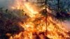 Лесные пожары, Красноярский край. 1 августа 2019 года