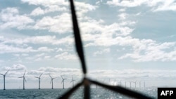 В Дании ветряные турбины вырабатывают более 20 процентов всей электроэнергии, а в будущем эту долю планируется довести до 50 процентов