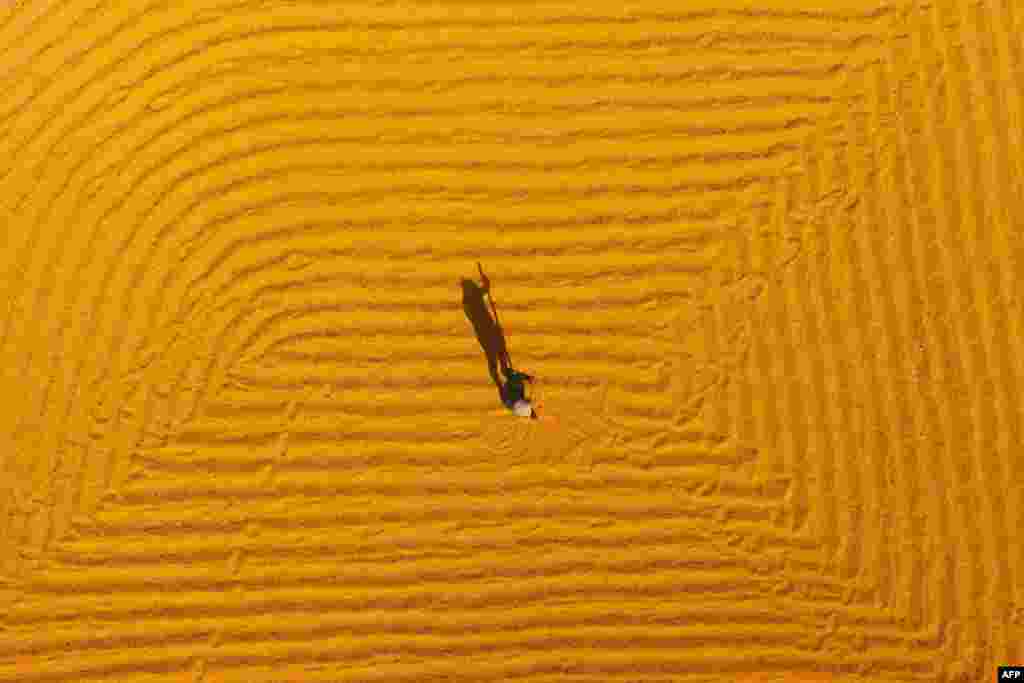Кітайскі фэрмэр сушыць сою ў правінцыі Шаньдун. 