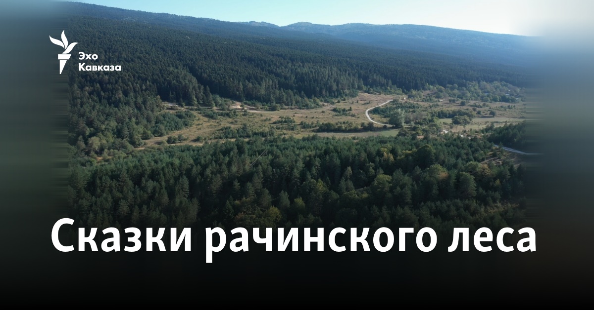 Сказки рачинского леса