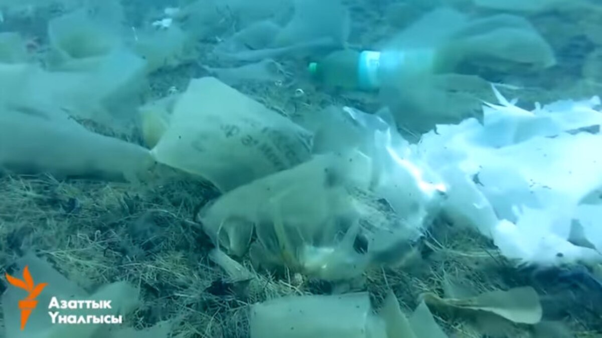 Загрязнение иссык куля. Отходы на озере исыккуль. Иссык куль сточные воды. Загрязнение окружающей среды бишкек. Загрязнение иссык куля.