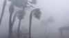 США: ураган «Майкл» досяг узбережжя штату Флорида