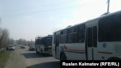 Акс аз бойгонӣ гирифта шудааст