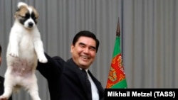 Президент Туркменистана Гурбангулы Бердымухамедов и щенок Алабая