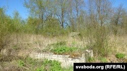 Падмурак дома ў вёсцы паволі зарастае хмызам