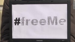 Акція на підтримку Сенцова і Кольченка в Петербурзі (відео)