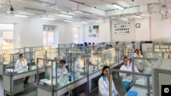İrkutskda Elmi-Tədqiqat Taun Əleyhinə İnstitutunun laboratoriyası