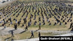 آرشیف، امتحان کانکور در غور