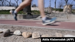 A koronavírus magyarországi áldozataira emlékező kavicsok a Margitszigeten