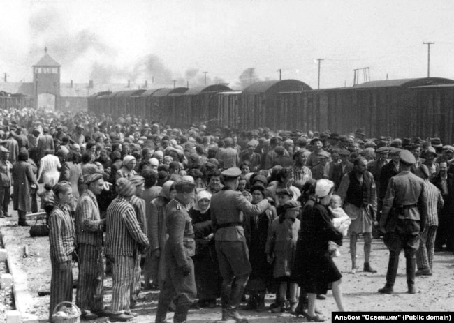 Nouveaux prisonniers hongrois amenés à Auschwitz-Birkenau en mai-juin 1944