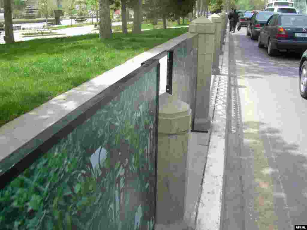 Bakıda gül bayramına hazırlıq gedir #24