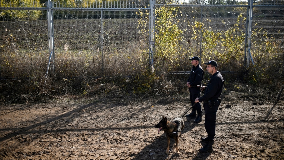 Българските гранични власти бият, ограбват, събличат и използват полицейски кучета,