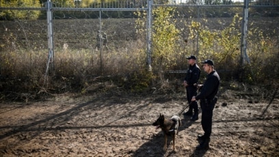 Българските гранични власти бият ограбват събличат и използват полицейски кучета