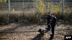 Полиция на границе Болгарии и Турции