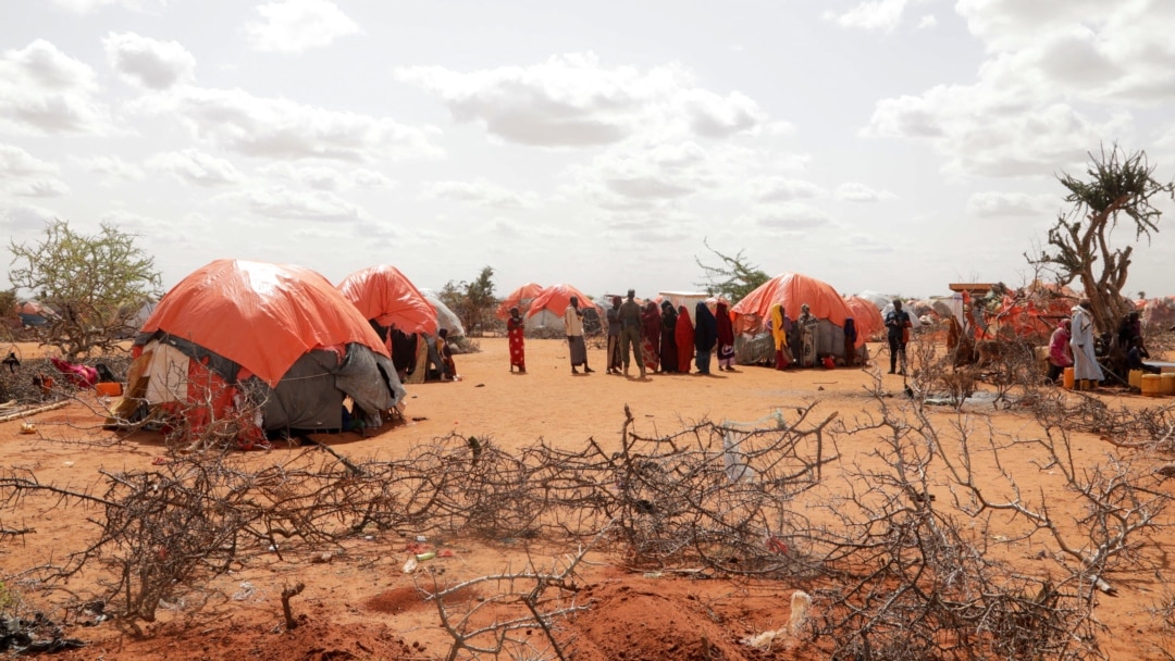 Беатриспен порно