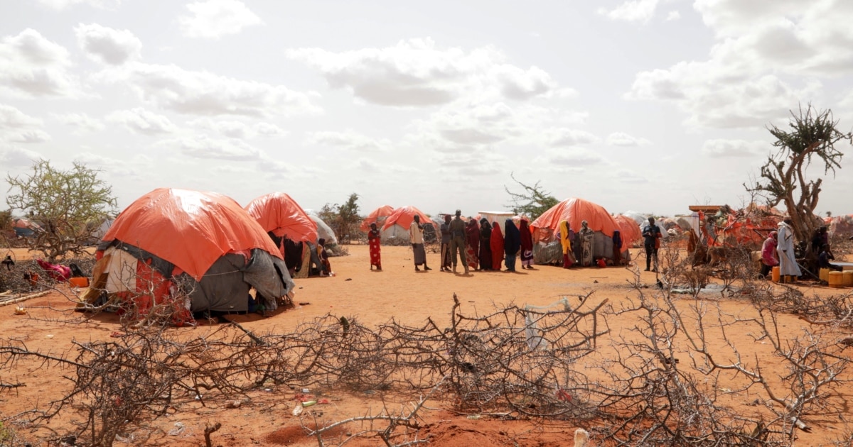Порноның өзі мазохизм Мен секс үшін әйелмен танысқым келеді, оның телефон нөмірі