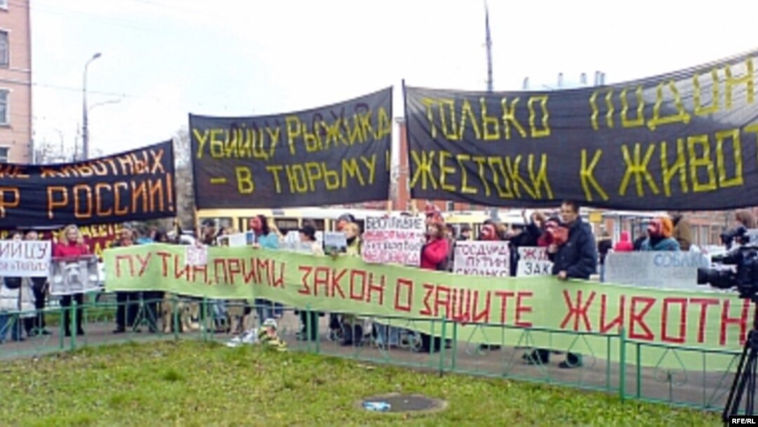 Защитники прав животных провели пикет у здания суда