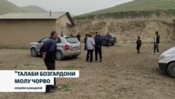 "Як чӯпон ҷиноят содир кард, чорвои ҳамаи моро мусодира карданд!"