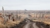 A road that was once Maryinka&rsquo;s <strong><a href="https://www.google.com/maps/@47.9422127,37.5040851,3a,75y,11.9h,85.83t/data=!3m7!1e1!3m5!1sViuUoQ_ZoZAdOQKm6CBS3w!2e0!6shttps:%2F%2Fstreetviewpixels-pa.googleapis.com%2Fv1%2Fthumbnail%3Fcb_client%3Dmaps_sv.tactile%26w%3D900%26h%3D600%26pitch%3D4.174868623814774%26panoid%3DViuUoQ_ZoZAdOQKm6CBS3w%26yaw%3D11.90262759865183!7i13312!8i6656?entry=ttu&amp;g_ep=EgoyMDI0MTIwMy4wIKXMDSoASAFQAw%3D%3D">Druzhby Avenue</a></strong>, photographed on December 4. The asphalt seal of the thoroughfare has been stripped from its soil base by shelling.<br />
&nbsp;