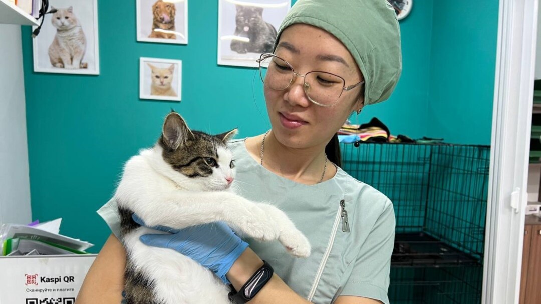 Хатшы бастықтың порносын азғырады Эротикалық жыныстық қатынас кезіндегі ішек қозғалысы