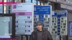 Киргизский сом камнем идет на дно (видео)