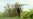 Moldova, Pokrovsk drones grab