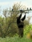 Moldova, Pokrovsk drones grab