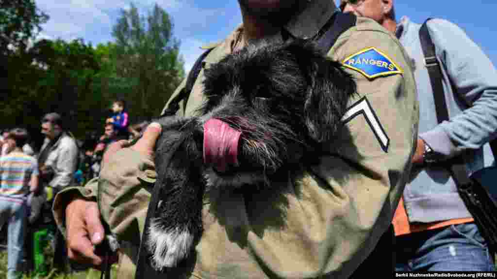 Военно-полевой пес