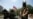 Reporter's Notebook: Separatists In Eastern Ukraine Think Journalists Are Either For Them Or Against Them