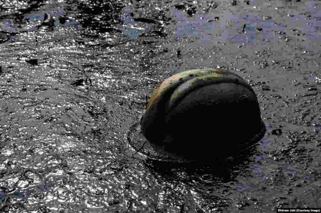 Neftnən çirklənmiş ərazidə neftçi papağı