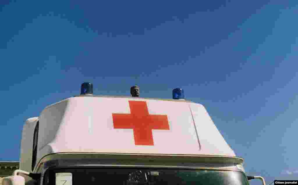 83 სოფო გოხელაშვილი: "სტალინი"