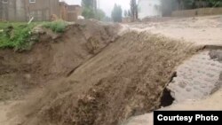 Selin fəsadları (arxiv fotosu)