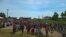 Митинг в Камбарке 22 июня