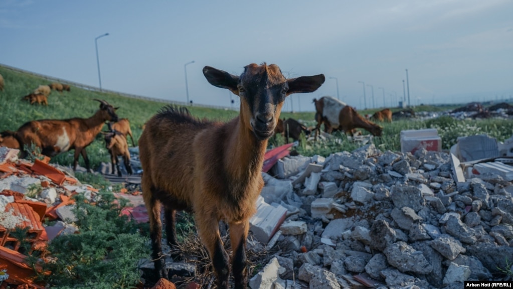 Në deponinë në Lebanë, qytetarët kanë hedhur edhe materiale ndërtimore, sikurse blloqe ndërtimore.&nbsp;