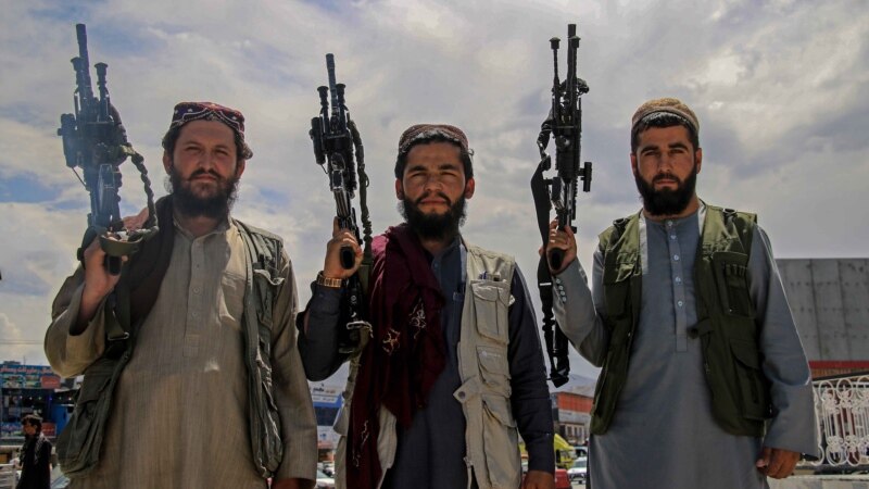 Волгоградский суд отказал в убежище спасающемуся от талибов сотруднику СМИ из Афганистана