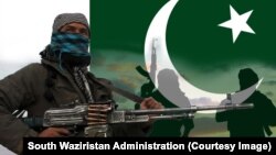“Техрик-и Талибан Пакистан” уюму менен сүйлөшүүлөрдү чагылдырган плакаттар.