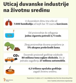 Infographic-Tobacco industry environmental impact