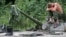 Российский военный в ходе войны с Грузией в 2008 году
