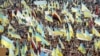 Перевернути прапор. Український стяг: історія та версії