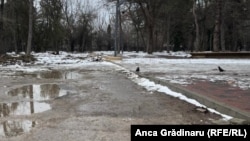 Bucuresti, sectorul 3, bordura construita de primarie. 5 februarie 2026, Primar Robert Negoita