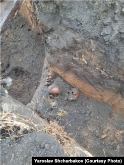 Кости из ямы рядом с домом Кишаловой