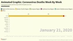 Animated Graphic: Coronavirus Deaths Week By Week