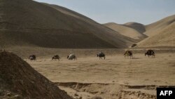 تاثیرات خشکسالی در یکی از روستا های دور افتاده افغانستان 