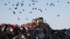 Петербург: жители жалуются на мусорные завалы около домов