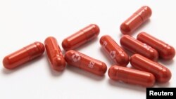 антивирусната пилула Паксловид на производителот на лекови Фајзер е поздравена како ветувачки третман.